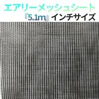 [12mmܹ] ꡼ å奷 5100 10纭 ɱ2   300P