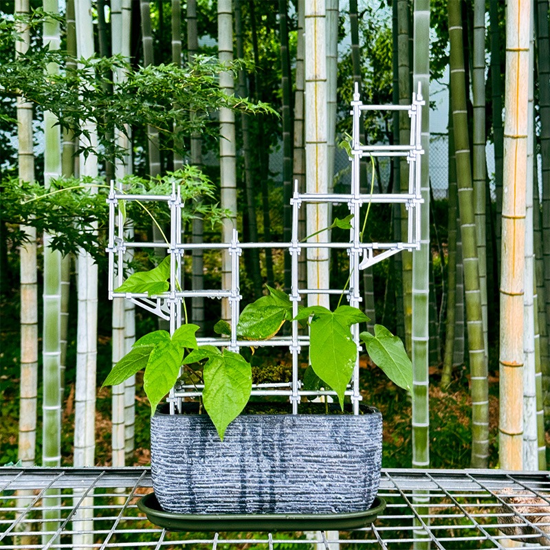 �����Ӽ�­���Ϸ� CATASTA �ɤ��ƥ���å�3�� A�����ס�B������ 1/10�Ϸ� CUMI