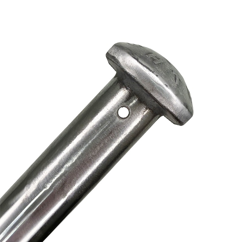 �����ѡ��ϥ��ƥ󥷥��ܥ�Ȳù��ܥ륷�� 7ʬ/6ʬ �襻�ݥ�� ���碌�ݥ��