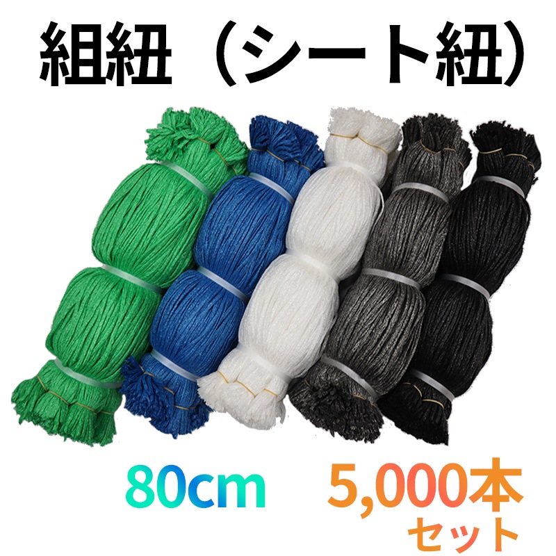 ��ɳ ��å��奷���ȥҥ� 5,000�ܥ��å� 80cm 5�� (�����������ġ���)