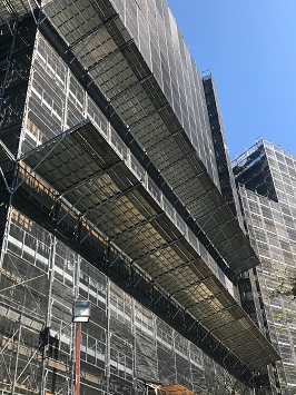 ʰɻߵFZ ĥĹ2m ٤ ʿ20Ķ ׼ ʰɻߺ FZ2 ̰ [ꥸʥ]