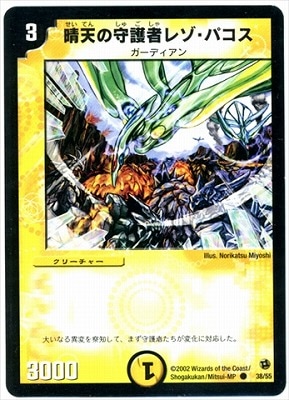 DM-02/38/C/��ŷ�μ��ԥ쥾���ѥ���