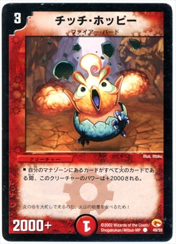 DM-03/49/C/���å����ۥåԡ�