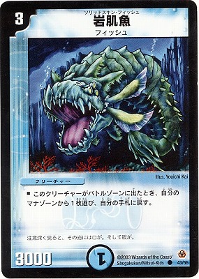 DM-05/43/C/��ȩ��