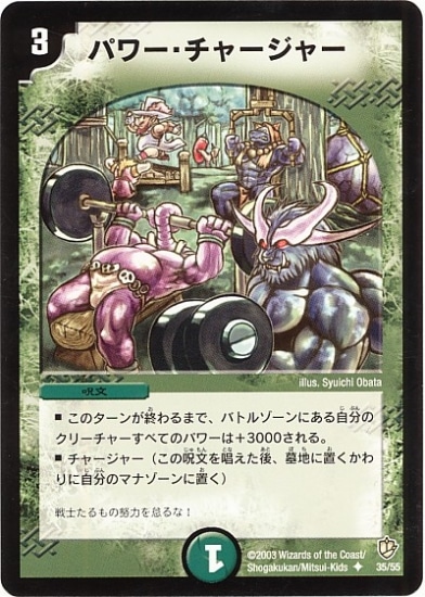 DM-08/35/U/�ѥ�����㡼���㡼