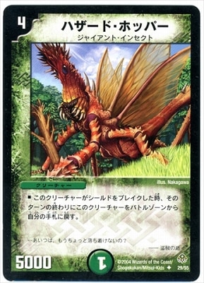 DM-11/29/U/ϥɡۥåѡ