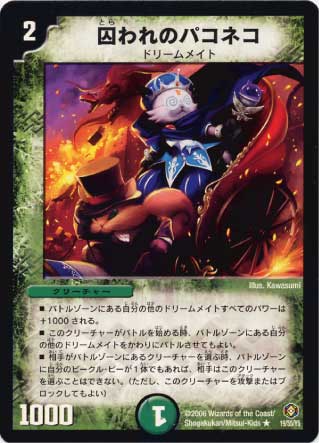 DM-21/19/R/�����Υѥ��ͥ�