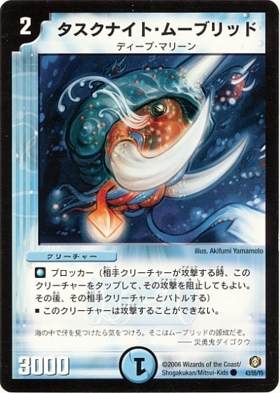 DM-21/43/C/�������ʥ��ȡ��ࡼ�֥�å�