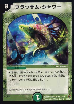 DM-22/20/R/֥åࡦ