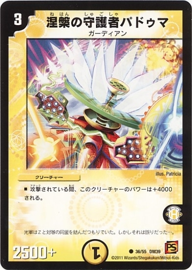 DM-39/36/C/޺Ѥμԥѥɥ