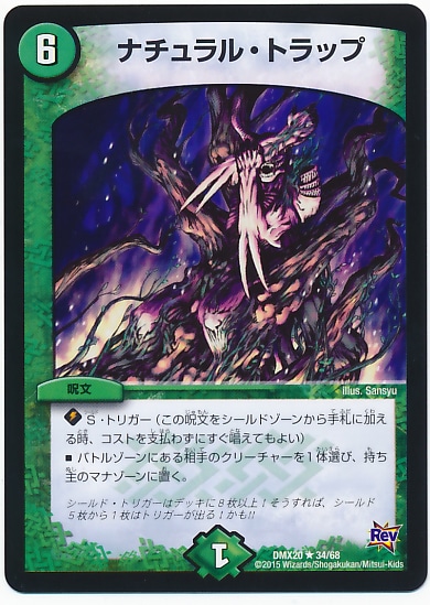 DMX-20/34/R/ʥ롦ȥå//ʸ