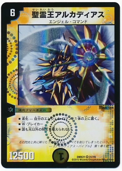 DMX-21/31/VR/������륫�ǥ�����/��/�ʲ����꡼���㡼