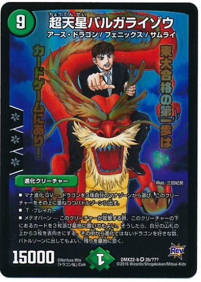 DMX-22b/35/VR/ĶŷХ륬饤//ʲ꡼㡼