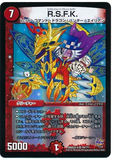 DMX-22b/79/VR/RSFK//꡼㡼