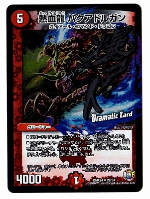 DMX-24/29/UC/Ǯ��ζ �Х����ɥ륬��