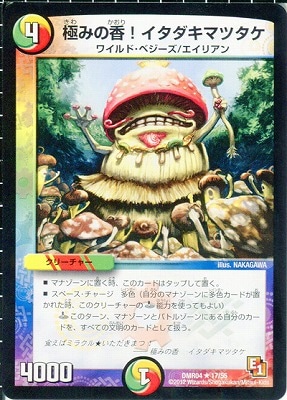 DMR-04/17/R/ˤߤιᡪޥĥ////꡼㡼