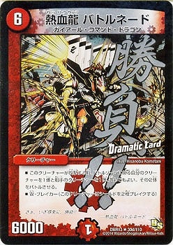 DMR-13/30d/RD/Ǯζ Хȥ͡//꡼㡼