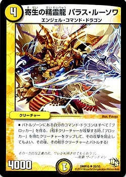 DMR-15/20/UC/����������ζ �ѥ饹���롼����/��/���꡼���㡼