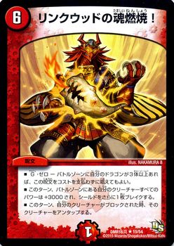 DMR-16/15/R/󥯥åɤκǳơ//ʸ