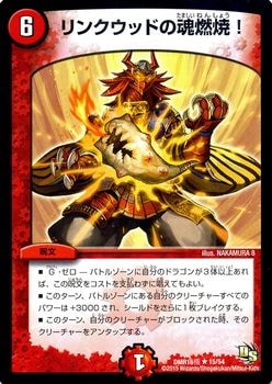 DMR-16��/15/R/��󥯥��åɤκ�ǳ�ơ�/��/��ʸ