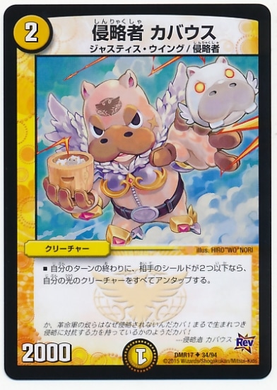 DMR-17/34/UC/��ά�� ���Х���/��/���꡼���㡼