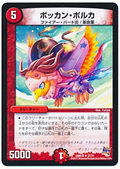 DMR-18/37/UC/ܥå󡦥ݥ륫//꡼㡼