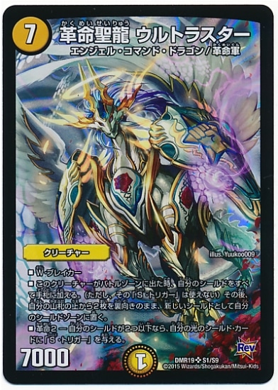 DMR-19/S1/SR/��̿��ζ ����ȥ饹����/��/���꡼���㡼