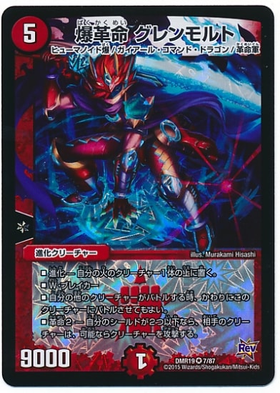 DMR-19/7/VR/����̿ ��������/��/�ʲ����꡼���㡼