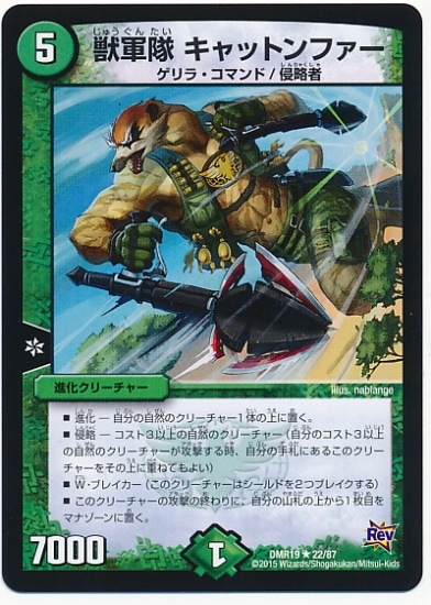 DMR-19/22/R/�÷��� ����åȥ�ե���/����/�ʲ����꡼���㡼