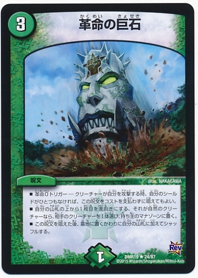 DMR-19/24/R/��̿�ε���/����/��ʸ