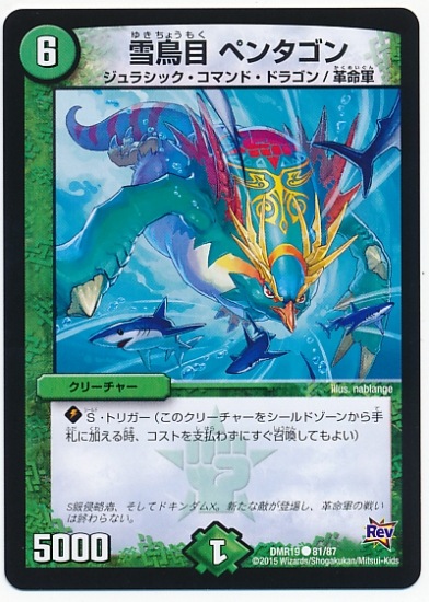 DMR-19/81/C/Ļ ڥ󥿥//꡼㡼