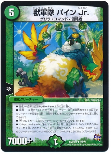 DMR-20/39/UC/÷ ѥJr//ʲ꡼㡼