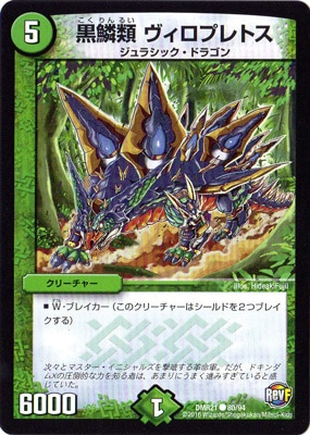 DMR-21/80/C/������ �������ץ�ȥ�