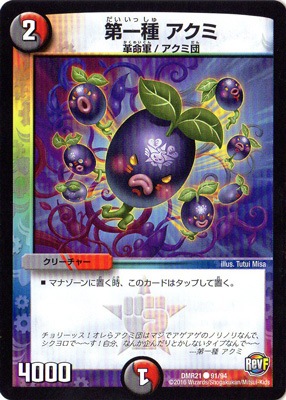 DMR-21/91/C/���� ������