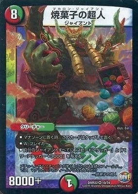 DMR-22/10/VR/�ƲۻҤ�Ķ��/��/����/���꡼���㡼