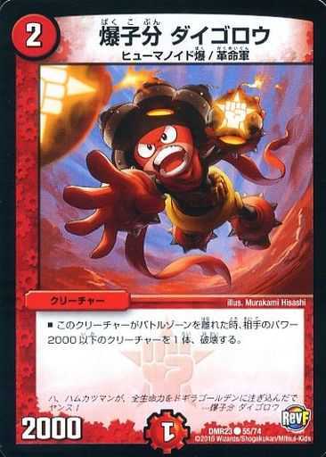 DMR-23/55/C/����ʬ ����������