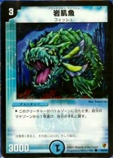 DMC05-08/50/C/��ȩ��
