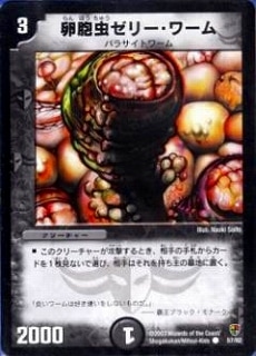 DMC05-08/57/C/��˦��꡼�����