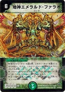 DMC55/31/Y8/�Ͽ�������ɡ��ե��饪