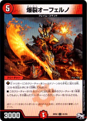 ��2��/DMRP-02/81/C/���������ե����