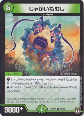 ��8��/DMRP-08/90/C/���㤬����ष