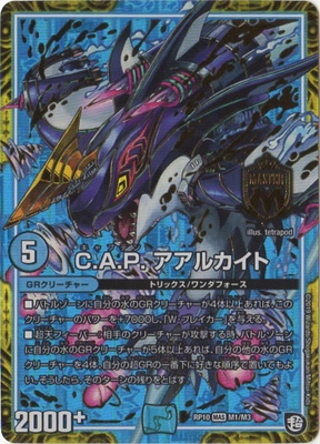 ��10��/DMRP-10/M1/MAS/C.A.P. �����륫����