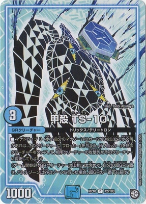 甲殻 TS‐10