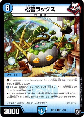 11/DMRP-11/17/R/ݥå