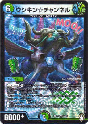 ��13��/DMRP-13/8/VR/��������������ͥ�