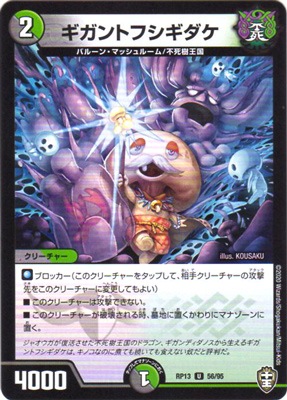 ��13��/DMRP-13/56/U/������ȥե����������̾���͡�