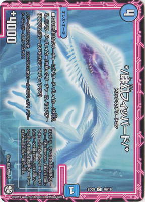 DMSD-09/16/C/*/�踸�ե��åѡ���/*