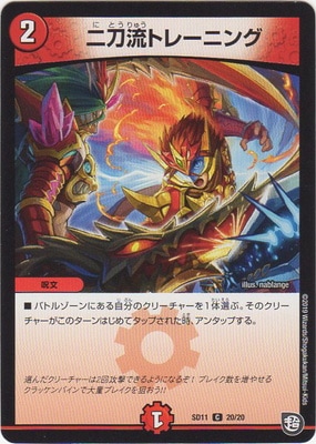 DMSD-11/20/C/����ή�ȥ졼�˥�