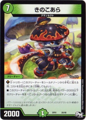 DMSP-01/20/���Τ�����