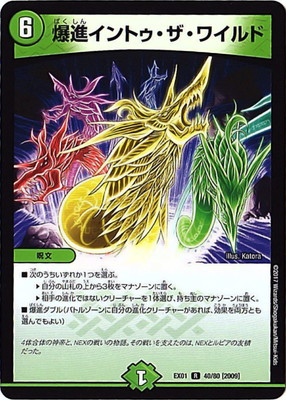 DMEX-01/40/R/[2009]���ʥ���ȥ��������磻���